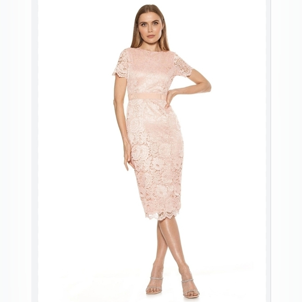 🔥NWT | ALEXIA ADMOR Delora Scalloped Lace Sheath Dress, Size 8